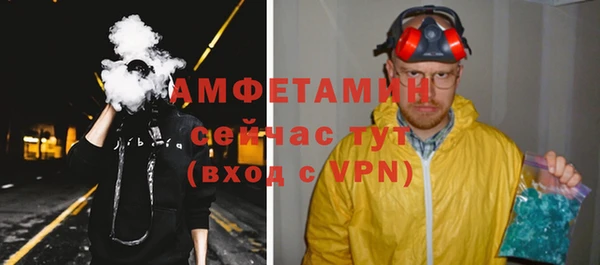 винт Ельня