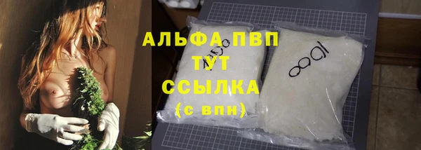 СК Санкт-Петербург