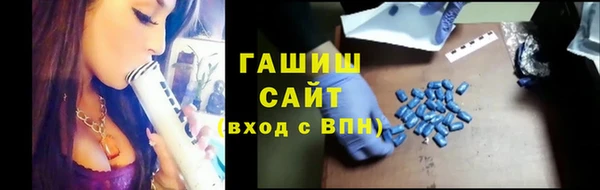 винт Ельня