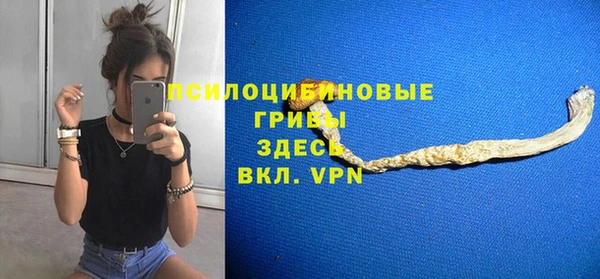 а пвп мука Елабуга