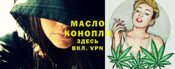 винт Ельня