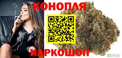 Альфа ПВП Гусев