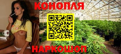 a pvp Гусь-Хрустальный