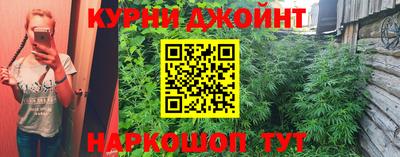 a pvp Гусь-Хрустальный