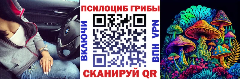 Галлюциногенные грибы ЛСД  ссылка на мегу ТОР  Полысаево 