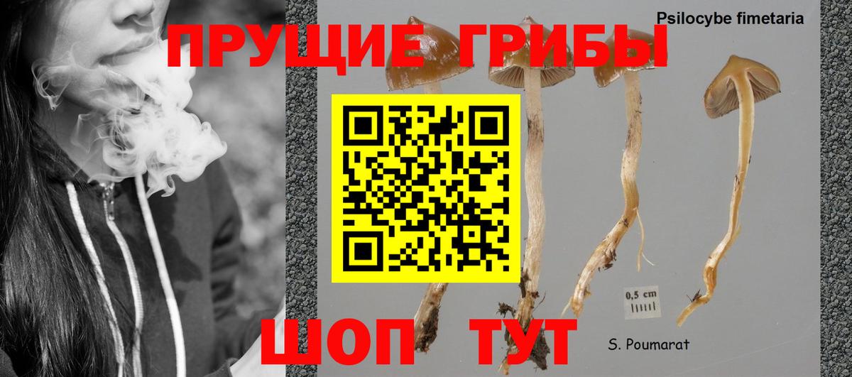 Псилоцибиновые грибы Magic Shrooms Полысаево